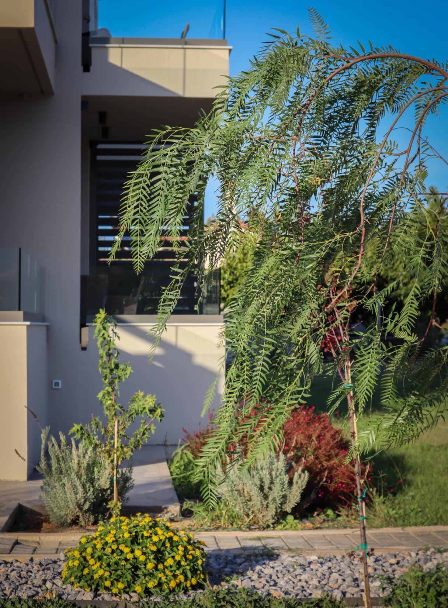 Almyres Luxurious Residences Míloi Buitenkant foto
